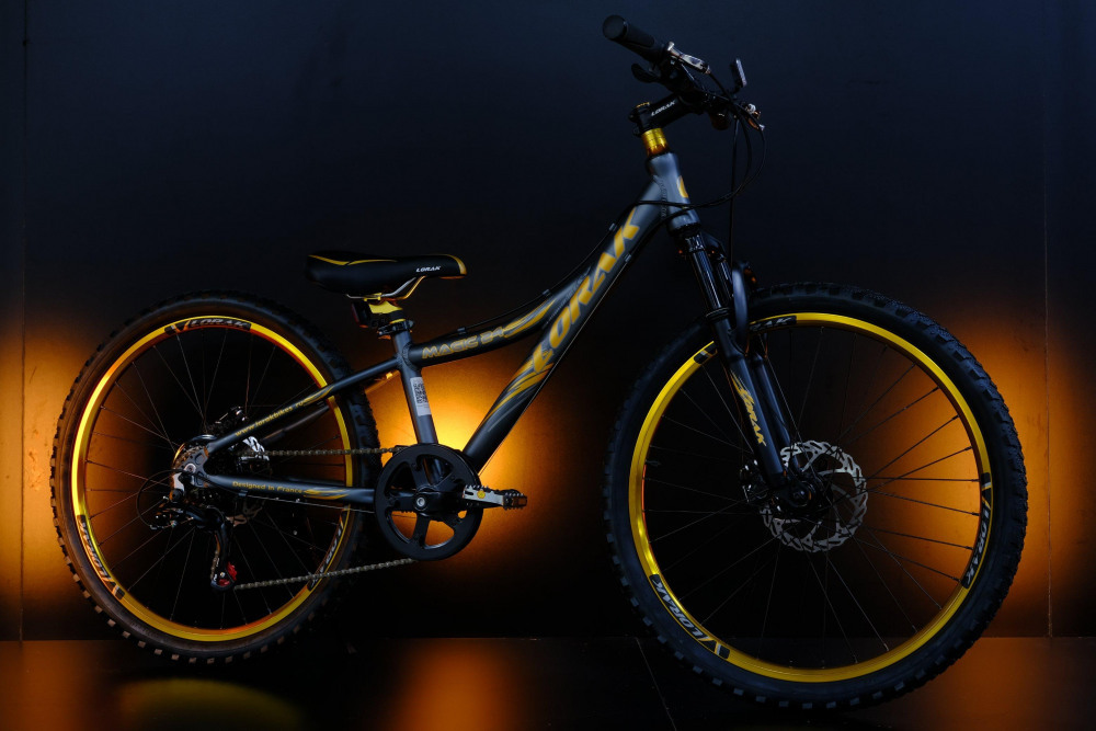 Lorak Magic 24 Серый/Золотой