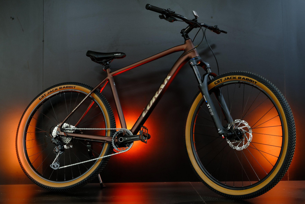 LORAK Sel 9850 Матовый Коричневый 21р (на рост 183-190)